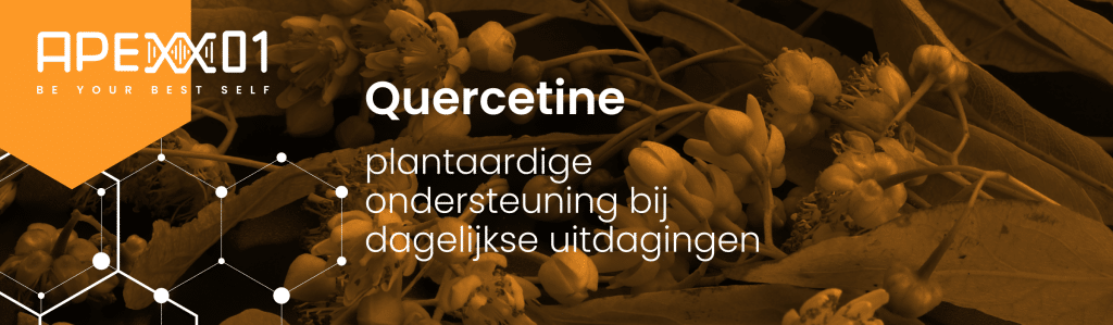 Quercetine: plantaardige ondersteuning bij dagelijkse uitdagingen