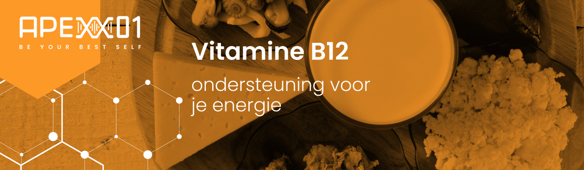 Vitamine B12: ondersteuning voor je energie en concentratie