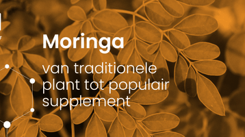 Moringa: van traditionele plant tot populair supplement