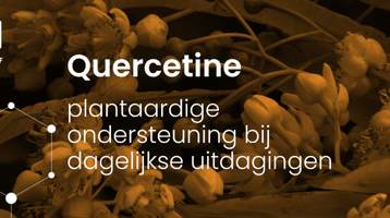 Quercetine: plantaardige ondersteuning bij dagelijkse uitdagingen
