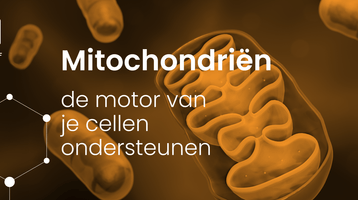 Mitochondriën: de motor van je cellen ondersteunen