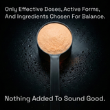 Apexx01: The Apex Protocol