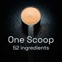 Apexx01: The Apex Protocol