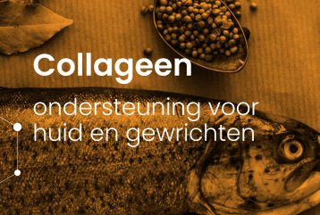 Header van blog Collageen supplement: ondersteuning voor huid en gewrichten