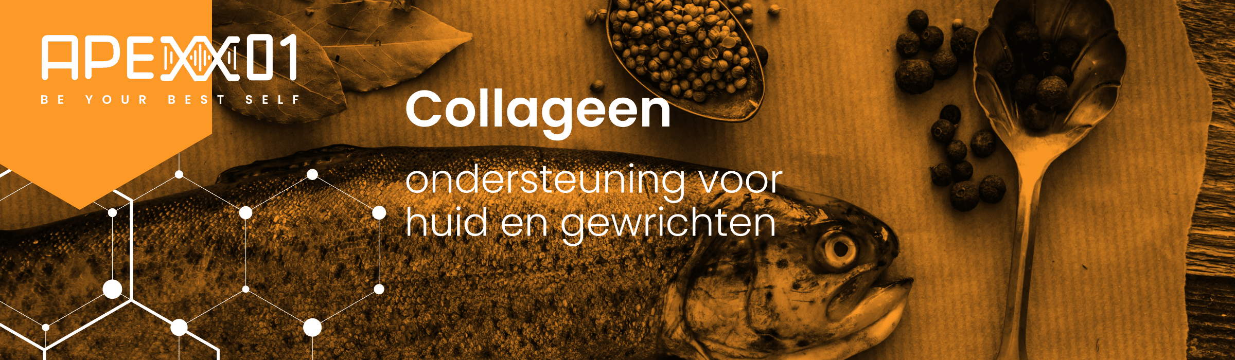 Header van blog Collageen supplement: ondersteuning voor huid en gewrichten
