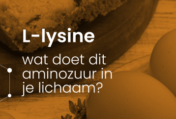 Header van blog L-lysine: wat doet dit aminozuur in je lichaam?