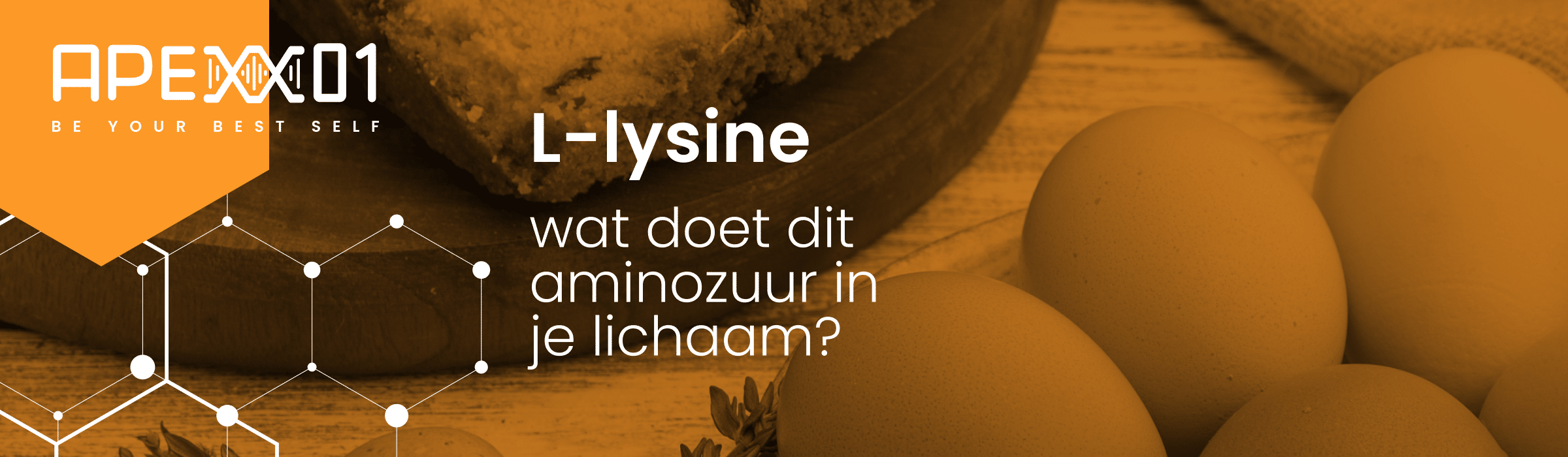 Header van blog L-lysine: wat doet dit aminozuur in je lichaam?