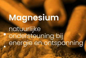 Header van blog Magnesium: natuurlijke ondersteuning bij energie en ontspanning