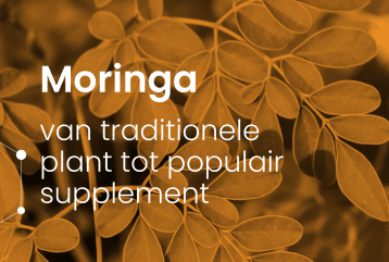 Header van blog Moringa: van traditionele plant tot populair supplement