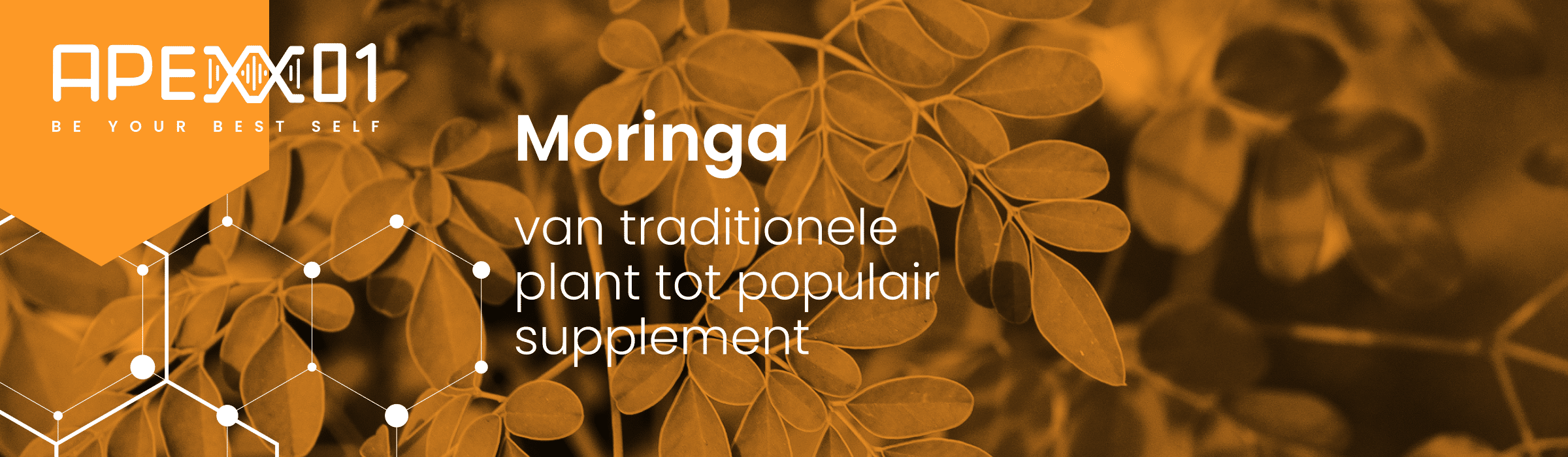 Header van blog Moringa: van traditionele plant tot populair supplement
