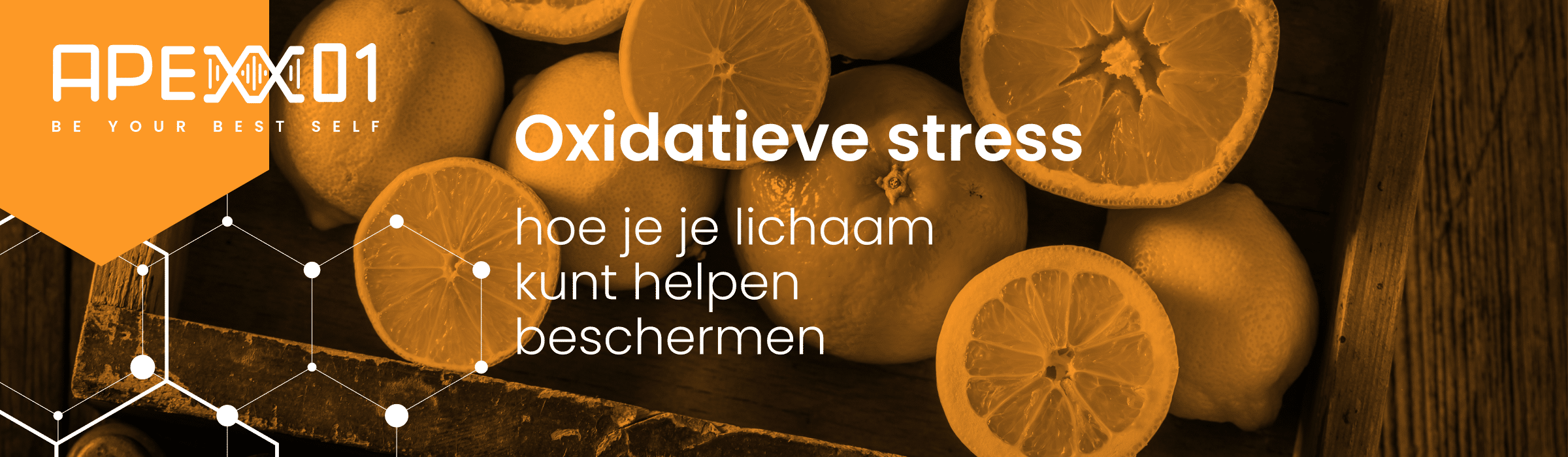 Header van de blog Hoe je je lichaam kunt helpen beschermen tegen oxidatieve stress