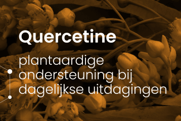 Header van blog Quercetine: plantaardige ondersteuning bij dagelijkse uitdagingen