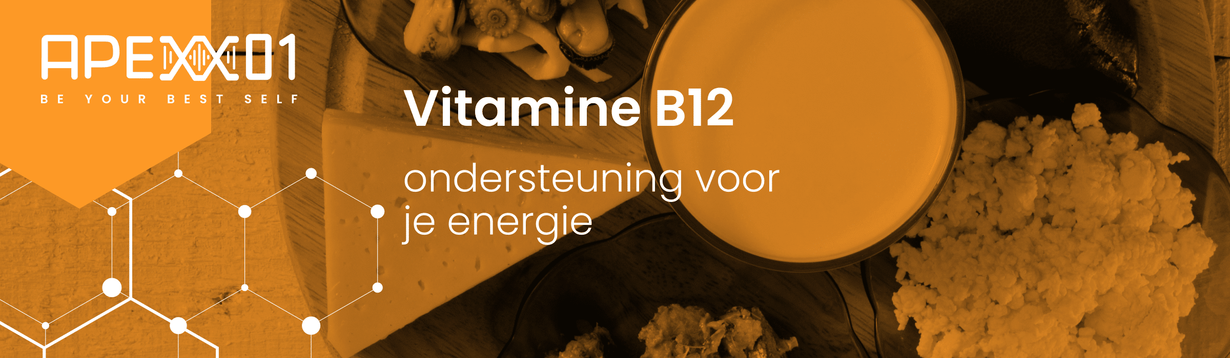 Header van blog Vitamine B12: ondersteuning voor je energie en concentratie